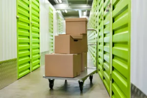 health benefits of organized self storage unit